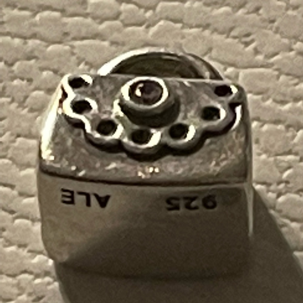 Retired pandora purse